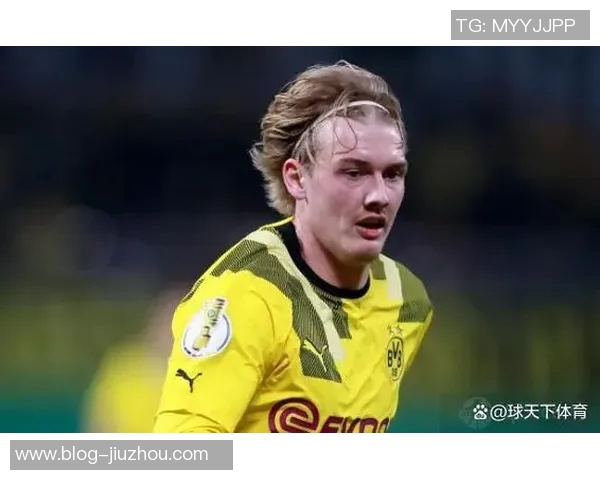 布兰特谈南部球队影响赛季表现多特有潜力待挖掘